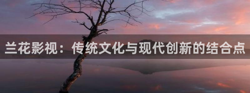 69视频网站大全：兰花影视：传统文化与现代创新的结合点