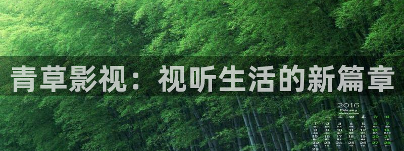 69视频永久播放：青草影视：视听生活的新篇章