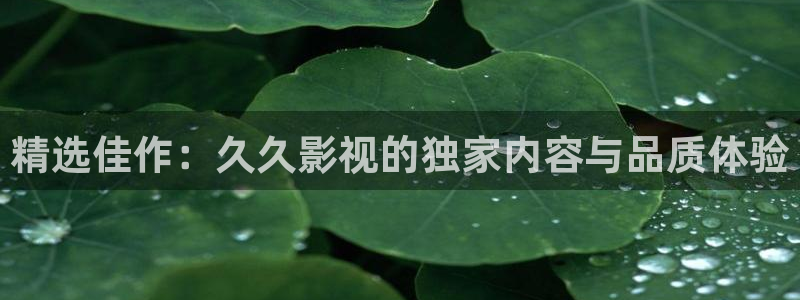 日本熟妇69视频：精选佳作：久久影视的独家内容与品质体验