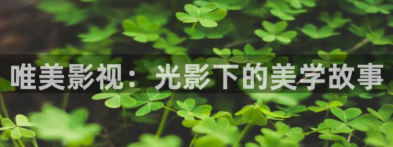 同性恋69视频：唯美影视：光影下的美学故事