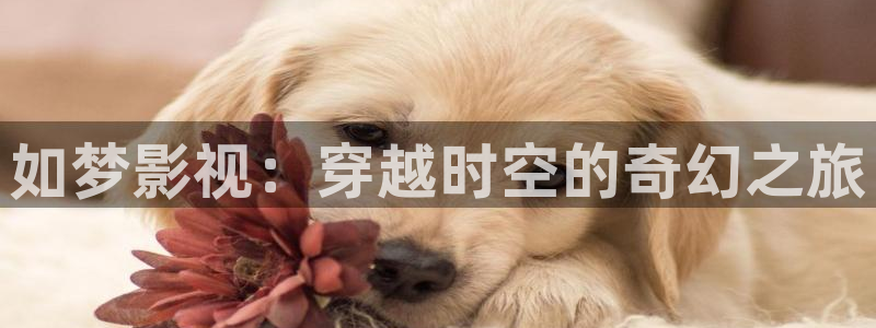 日本69视频jizz：如梦影视：穿越时空的奇幻之旅
