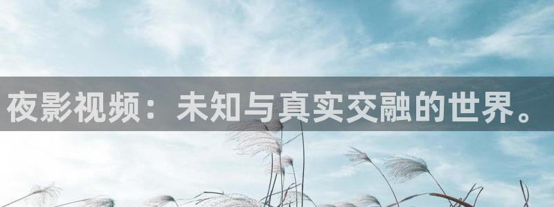 越南69视频：夜影视频：未知与真实交融的世界。
