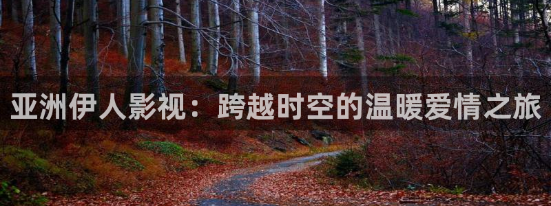 69视频高清：亚洲伊人影视：跨越时空的温暖爱情之旅
